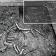 Image for article titled A Complete Ottoman Soldier's Camel Found In an Austrian Basement